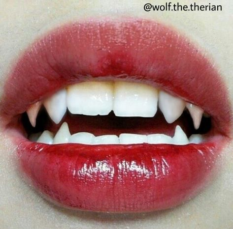 Edit By Wolfie BloodMoon Natural Fangs, Aesthetic Teeth, Vampire Teeth, Vampire Fangs, Vampire Academy, Red Lipstick, Coloring Stickers, Character Aesthetic, Shadowhunters