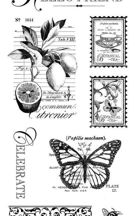 Calendar Graphic, Botanical Tea, Free Vintage Printables, Journal Vintage, Images Vintage, Digi Stamps, Graphic 45, Vintage Printables, Vintage Labels