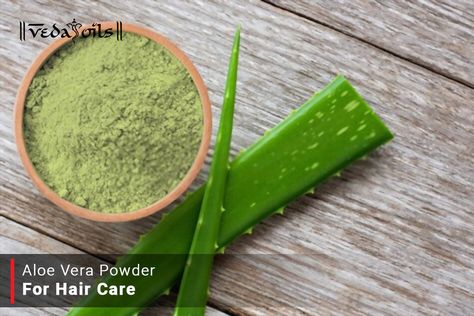 Aloe Vera powder is beneficial herb for your hair. It nourishes scalp & hair. Powder of aloe Vera contains all essential nutrient. This aloe Vera powder makes DIY easy. Try Aloe Vera Powder recipes for hair care regime. Homemade Calamine Lotion, Calamine Lotion, Aloe Vera Powder, Dusting Spray, Hair Powder, Powder Recipe, Diy Recipe, Castile Soap, Aloe Vera Leaf