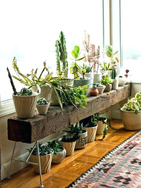 Indoor Plants Diy, Indoor Plant Shelves, Koti Diy, Thrifty Diy, Trendy Plants, Plant Stands Outdoor, Support Pour Plante, Splendour In The Grass, Wooden Plant Stands