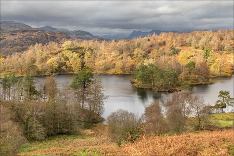 Lake District Walks, Rock Steps, Wheelchair Friendly, Route Map, The Far Side, Detailed Map, Car Park, Lake District, Walkers