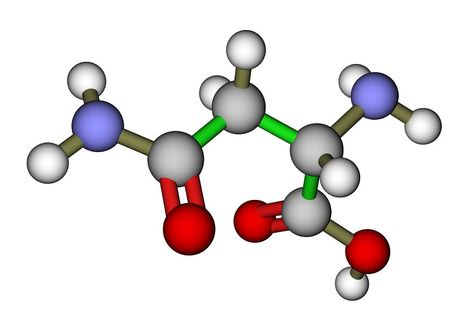 Molecular Structure, Amino Acid, Amino Acids, Meat, Quick Saves