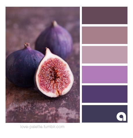 Colors, Palettes & Hues Makeup Zombie, Color Palate, Design Seeds, Trendy Bedroom, Purple Design, Bedroom Paint Colors, Color My World, Gray Design, Room Paint