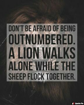 Sheep Quote, Lions Not Sheep, A Sheep, Walking Alone, A Lion, Self Care Activities, Dont Be Afraid, Words Of Wisdom, Sheep