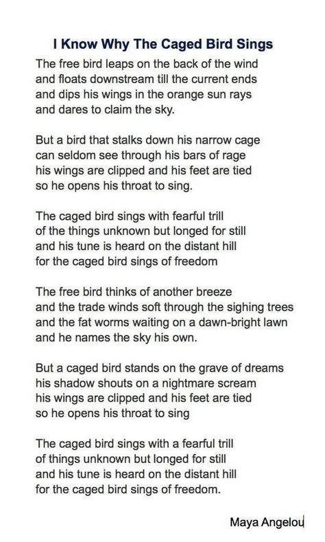 The free bird leaps on the back of the wind and floats downstream till the current ends and dips his wings in the orange sun rays and dares to claim the sky. But a bird that stalks down his narrow cage can seldom see through his bars of rage his wings are clipped and his feet are tied so he opens his throat to sing. The caged bird sings with fearful trill of the things unknown but longed for still and his tune is heard on the distant hill for the caged bird sings of freedom. Bird Painting Diy, Swallow Bird Tattoos, Funny Bird Pictures, Bird Tattoo Men, Red Bird Tattoos, Bluebird Tattoo, Watercolor Bird Tattoo, Love Birds Painting, Black Bird Tattoo