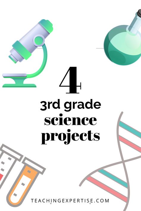 You're helping your third grader with a science project? Check out our article on how to do 3rd grade science projects. Science Experiment For 3rd Grade, Homeschool Science Experiments 3rd Grade, Easy Science Fair Projects For 3rd Grade, Third Grade Learning Activities, Science Projects For 3rd Grade, Third Grade Crafts Activities, Grade 4 Science Projects, Third Grade Science Fair Projects, 3rd Grade Science Classroom