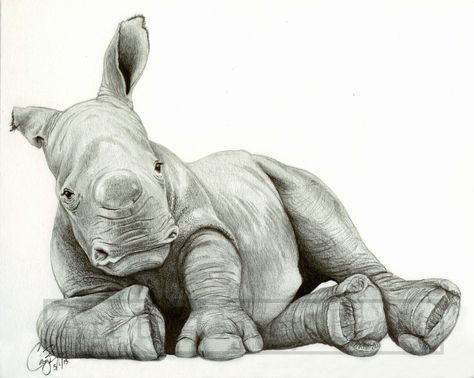 Poaching Animals, Rhino Drawing, Rhino Illustration, Rhino Poaching, Rhino Art, Baby Rhino, White Rhino, Lovely Creatures, Rhinos