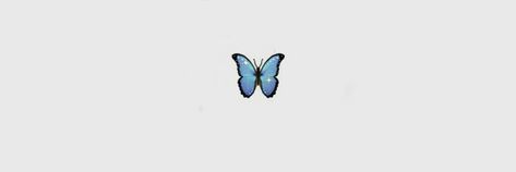 Wall Papers, Butterfly Wallpaper, Twitter Header, Blue Butterfly, Twitter, Wall, Blue, Quick Saves