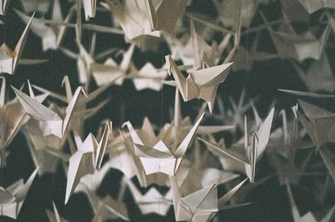 sam roth's paper cranes Cranes Aesthetic, Six Crimson Cranes, Chihiro Ogino, Kalluto Zoldyck, Kubo And The Two Strings, Origami Cranes, Paper Cranes, Kagerou Project, Castle In The Sky