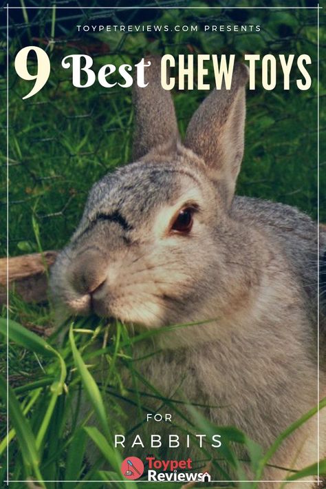 Bunny Chew Toys Diy, Bunny Chew Toys, How To Make Bunny Toys, Rabbit Toys And Boredom Busters, Flemish Rabbit, Rabbit Enrichment, Bunny Tips, Toys For Rabbits, Rabbit Chew Toys