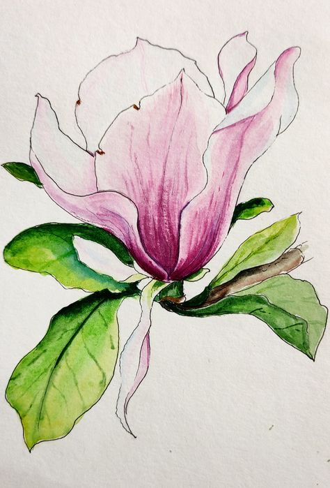 Magnolia is one of the first flowers to bloom in spring. In the video, I showed how to draw a pink magnolia and this step-by-step drawing of a spring flower makes it possible to turn a complex drawing into a simple drawing. #magnoliawatercolor #watercolorflowers #watercolor #painting #magnoliawatercolor #watercolorpainting #howtodraw #howtodrawmagnolia #magnolia#magnoliadrawing #easydrawing #simpledrawing #simplepainting #botanicalillustration #flowerdrawing #giftforher #relaxing #magnoliaflora Magnolia Drawing Simple, Magnolia Drawing, Complex Drawing, Flower Photography Art, Flowers Magnolia, A Simple Drawing, Watercolor Pencil Art, Watercolor Painting For Beginners, Funky Tattoos