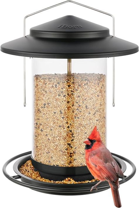 Metal Bird Feeders, Wild Bird Feeders, Hanging Bird Feeders, Wild Bird, Metal Birds, Outdoor Decor Backyard, Bird Seed, Backyard Birds, Bird Feeder