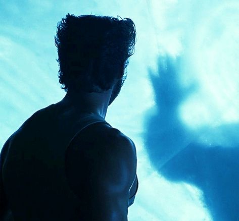 X2 Wolverine, Logan Howlett Gif, Hugh Jackman Gif, Wolverine Gif, Huge Jackman, Drake Funny, Logan Howlett, James Howlett, Wolverine Comic