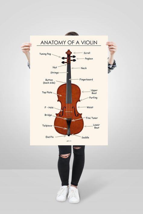 Violin Anatomy Poster, Violin Diagram Printable, Violin Parts Names, Music Teacher Resource, Student Education Aid, Violin Classroom Decor Violin Diagram, Violin Anatomy, Violin Poster, Anatomy Poster, Violin Parts, Detailed Illustration, Music Student, Standard Paper Size, Music Theory