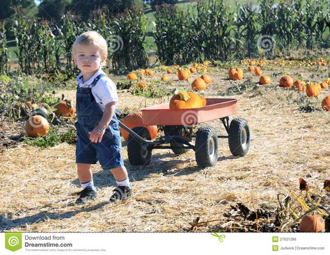 Pumpkin Wagon Photoshoot, Pumpkin Patch Toddler Photoshoot, Toddler Pumpkin Patch Photos, Fall Mini Shoot, Fall Baby Photos, Fall Couple Pictures, Pumpkin Patch Photoshoot, Pumpkin Field, Pumpkin Patch Pictures