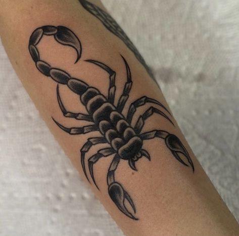 Scorpion Tattoo Design Traditional, Scorpio Tattoo American Traditional, Scorpion Tattoo Elbow, Scorpion Tattoo On Arm, Scorpio Sun Tattoo, Scorpio Tattoo Traditional, Scorpion American Traditional Tattoo, Scorpion Knee Tattoo, Scorpion Arm Tattoo