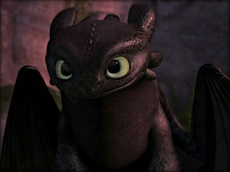 Toothless Wallpaper, Httyd Toothless, Dragon Movies, Toothless Dragon, Hiccup And Toothless, Dreamworks Dragons, Httyd Dragons, Dragon Trainer, Dragon 2