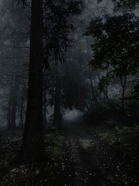 Forest Monster Aesthetic, Black Forest Aesthetic, Sunday In The Park With George, Redesign Ideas, Dance Comp, Dark Forest Aesthetic, Dark Books, Forest Theme, Dark Photography