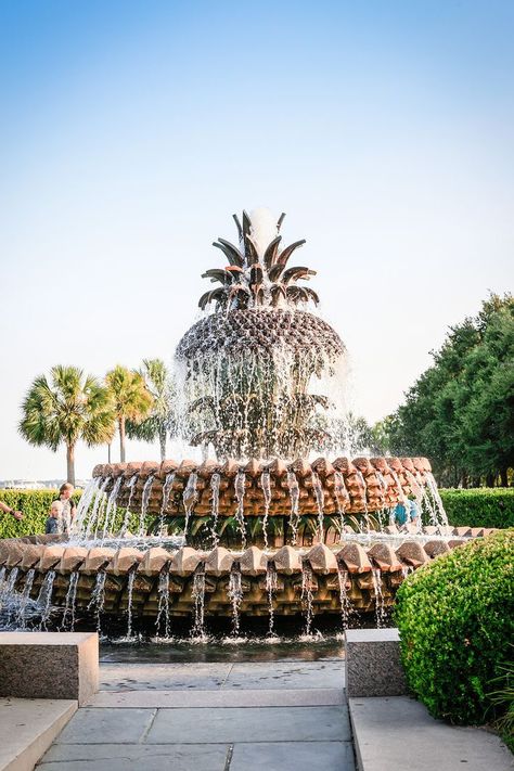 Pineapple Fountain Charleston Sc, South Carolina Road Trip, Carolina Road Trip, Charleston Aesthetic, Rainbow Row Charleston, Charleston Trip, Folly Beach South Carolina, Charleston Historic District, Charleston Vacation