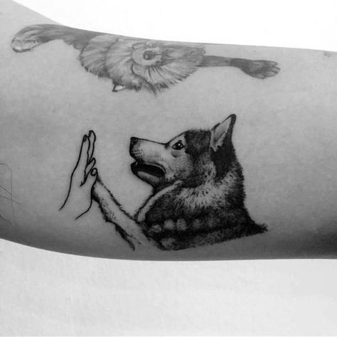 Husky And Cat Tattoo, Malamute Tattoo Ideas, Man Dog Tattoo, Dog Tattoo Husky, Husky Tatoos, Husky Drawing Sketches, Malamute Tattoo, Dog Tattoo For Men, Husky Tattoo Siberian