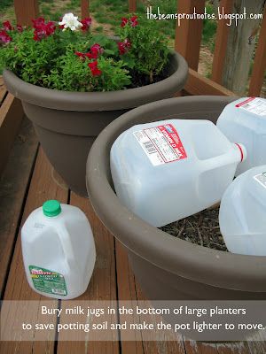 use empty milk cartons to fill up space in large pots.. so you dont have to use as much dirt, and it isnt as heavy Milk Cartons, Jardim Diy, Pot Lights, Backyard Landscape, Diy Gardening, Seasonal Garden, Large Planters, Diy Garden Projects, Large Pots