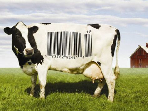 8 food documentaries to watch that will change the way you think about food Food Documentaries, Perfect Pork Chops, Vegan London, World Vegan Day, No Meat, Movies To Watch Online, Food Inc, No Dairy, Healthy Cat Treats