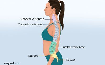 Stenosis Exercises, Spinal Degeneration, Lumbar Lordosis, Thyroid Test, Referred Pain, Spinal Surgery, Ligament Tear, Core Strengthening Exercises, Full Body Stretch