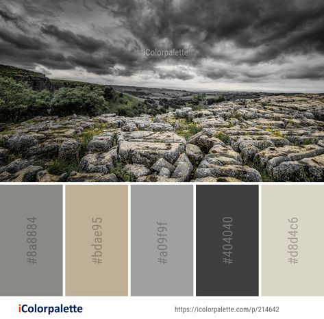 Color Palette ideas from 1519 Rock Images | iColorpalette River Rock Color Palette, Rocks Color Palette, Gemstone Color Palette, Rock Color Palette, Stone Color Palette, Color Palette Theme, Colour Pallettes, Neutral Pallet, Landscaping Rock