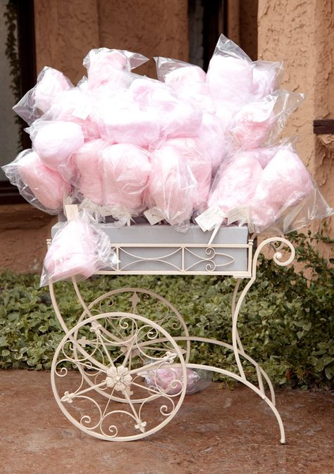 Smooth ride ~ a well worn cocktail bar frame is reborn as a cotton candy buggy for my next baby shower or ladies tea party. Cotton Candy Wedding, Cotton Candy Favors, Pink Wedding Inspiration, Candy Wedding Favors, Boda Mexicana, Festa Party, Blush Pink Weddings, Pink Cotton Candy, Circus Party