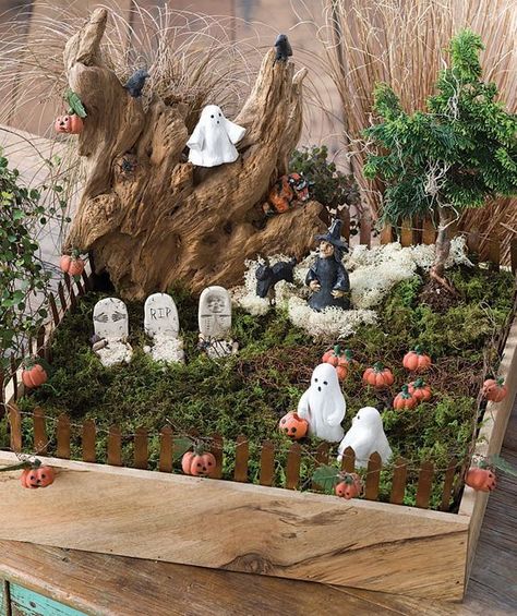 halloween fairy gardens Diy Halloween Fairy Garden, Miniature Gardens Design Ideas, Fairy Garden Design Ideas, Miniature Garden Design, Halloween Fairy Garden, Fairy Garden Ideas, Fairy Garden Designs, Halloween Fairy, Autumn Fairy