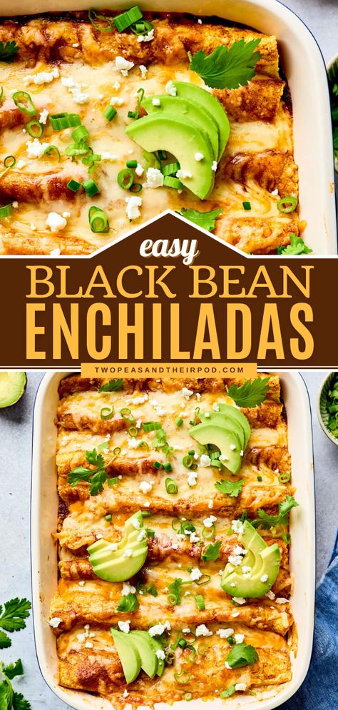 Black Bean Enchiladas Meatless Friday Dinners, Easy Vegetarian Weeknight Dinners, Vegetarian Recipes Dinner Easy, Bean Meals Healthy, Vegeterian Ideas Easy Recipes, Quick Meatless Dinners, Vegetarian Enchiladas Recipe, Black Bean Enchiladas, Vegetarian Enchiladas