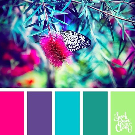 Spring color ideas | 25 color palettes inspired by the PANTONE color trend predictions for Spring 2018 – Use these color schemes as inspiration for your next colorful project! Check out more color schemes at www.sarahrenaeclark.com #color #colorpalette Color Catalog, Spring Color Palette, Color Schemes Colour Palettes, Spring Color, Color Palette Design, Color Inspo, Colour Schemes, Color Pallets, Color Swatches