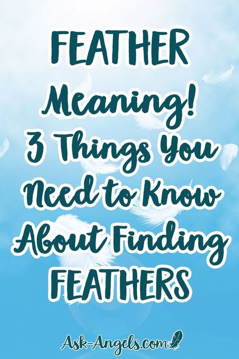 Feather Meaning! 3 Things You Need to Know About Finding Feathers. Do you ever find feathers? There's a specific message from the angels and corresponding feather meaning when this happens... Learn what it is here now! #angels #angelfeathers Feather From Heaven, Finding Feathers Meaning, Meaning Of A Feather, Brown Feather Meaning, Meaning Of Feathers, Spirit Guide Signs, Painting Feathers, Finding Feathers, Feather Signs