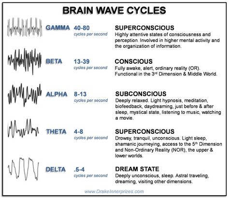 Quantum Healing Hypnosis, 3rd Dimension, Brain Facts, Past Life Regression, Levels Of Consciousness, Bear With Me, Brain Science, States Of Consciousness, Healing Frequencies