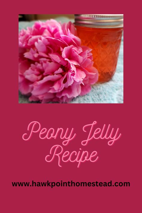 Peony Jelly, Homestead Lifestyle, Flower Recipes, Diy Jelly, Flower Jelly, Edible Flowers Recipes, Marmalade Recipe, Tea Places, Dandelion Jelly