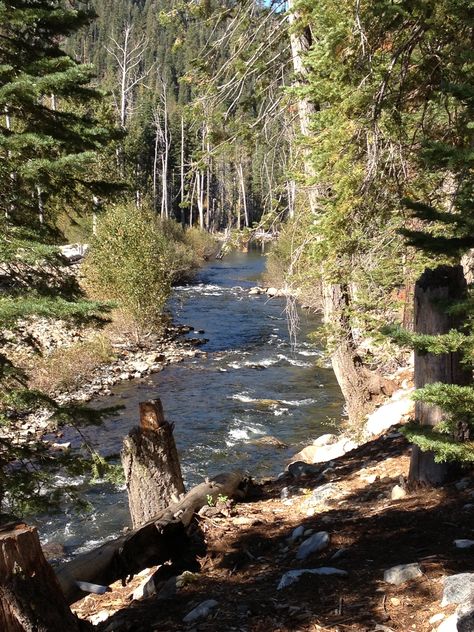 Lower Little Truckee River, Jackson Meadows Truckee River, Mountain Lakes, Beautiful Landscape Photography, Drawing Stuff, Outdoor Life, Inspirational Pictures, Landscape Painting, Beautiful Landscapes, Painting Ideas