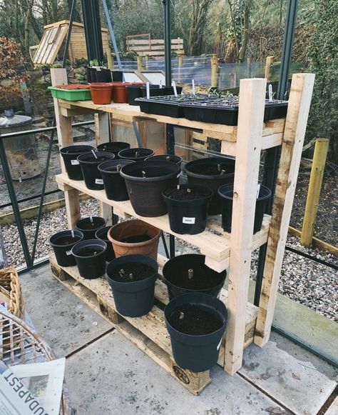 Making greenhouse staging from pallets – Lori Laing Greenhouse Shelf, Diy Greenhouse Shelves, Pallet Greenhouse, Allotment Plan, Outdoor Upgrades, Greenhouse Staging, Greenhouse Shelves, Pallet Potting Bench, Potting Benches