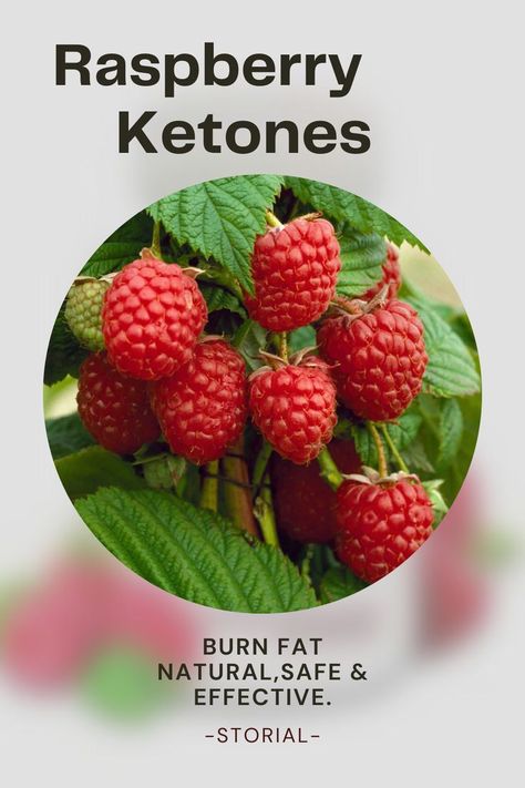 Do Raspberry Ketones Really Work? Raspberry Ketones, Weight Reduction, Ketogenic Diet, I Decided, Fat Burning, Raspberry, Diet, Fruit, Health