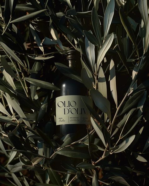 Olio D'Oliva - To celebrate the sunny weather we’ve been enjoying, we decided to draw inspiration from some projects we’ve seen online by other creators and conceptualise our own olive oil brand! Inspired by Italian olive farms and typefaces, we’ve developed a sleek yet luxurious olive oil brand. What do you think? 🫒🇮🇹 #branding #branddesign #brandidentity #oliveoilbrand #summerbrand #summertime Olive Oil Graphic Design, Olive Oil Product Photography, Green Product Photography, Olive Oil Aesthetic, Olive Oil Photography, Olives Aesthetic, Olive Oil Design, Olive Oil Branding, Olive Aesthetic