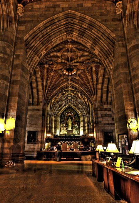 Yale Library Arches | Andrew E. Larsen | Flickr Sterling Library Yale, Famous Libraries, Yale Library, Library Gothic, Amazing Libraries, Beautiful Libraries, Study Environment, School Aesthetics, Dream Library