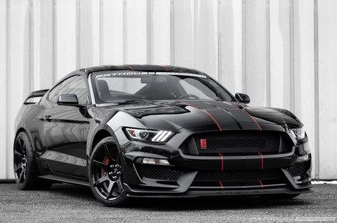 Gt350r Mustang, Shelby Gt350r, Mustang Car, Ford Mustang Car, Ford Shelby, Mustang Cars, Mustang Gt, Custom Cars, Ford Mustang