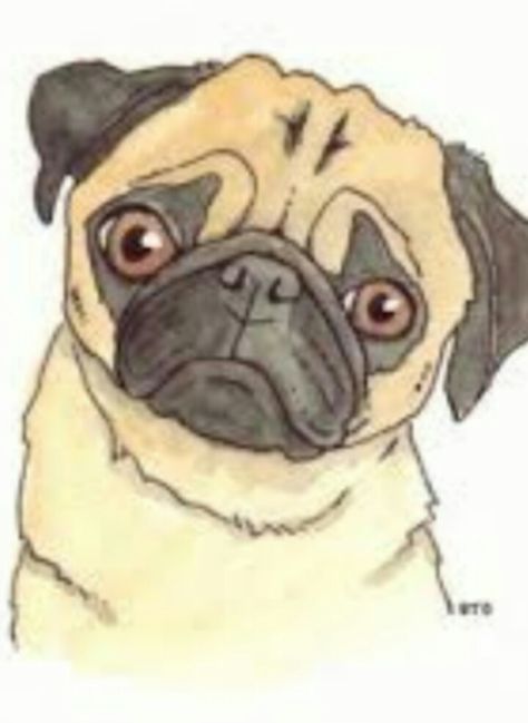 Pug drawing Pug Drawing, Tattoo Painting, Paint Your Pet, Pug Art, Simple Canvas Paintings, Cute Pugs, Pug Love, Drawing Videos, Face Drawing