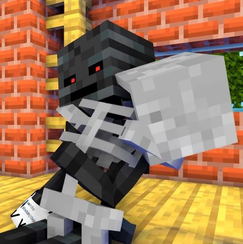 Minecraft Skeleton X Wither Skeleton, Minecraft Monster School, Skeleton X Wither Skeleton, Wither X Skeleton, Minecraft Wither, Wither Skeleton, Minecraft Skeleton, Minecraft Character Skins, Minecraft School