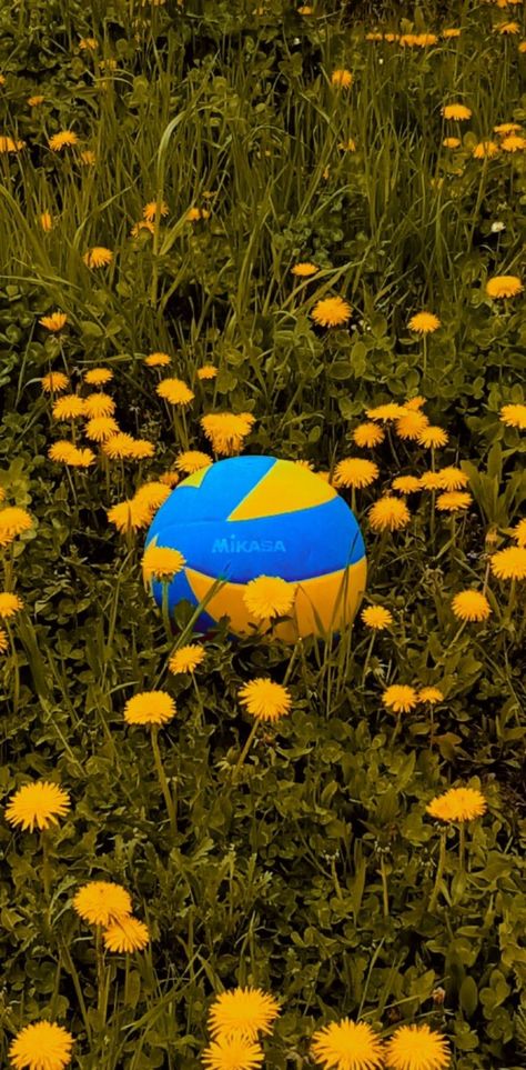 Yellow Volleyball Aesthetic, Valley Ball, Mikasa Volleyball, Flowers Yellow, Last Day Of School, Art References, Summer Aesthetic, Volleyball, Beautiful Flowers