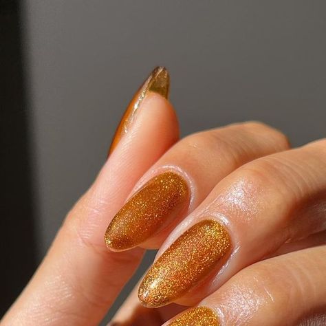 Honey Nails, Amber Nails, Season Palette, Fall Nail Art Ideas, Fairy Nails, Fall Nail Trends, Fall Nail Art Designs, Nail Shimmer, Seasonal Nails