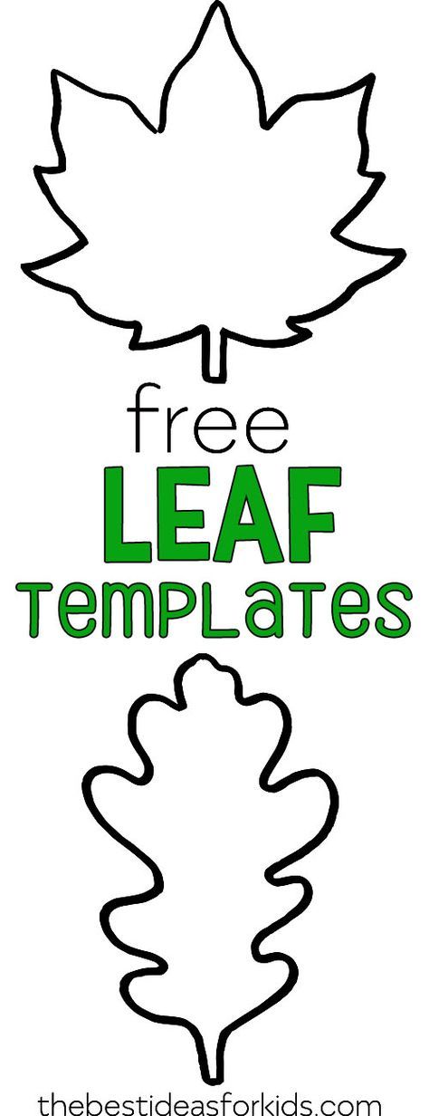 Free Printable Fall Leaf Templates - perfect leaf outlines. #bestideasforkids #fall #fallcrafts #leaf #kidscrafts Thanksgiving Tree Printable Free, Leaf Images Free Printable, Fall Leaf Patterns Free Printable, Maple Leaf Pattern Free Printable, Leaf Outlines Free Printable, Leaf Patterns Printable Preschool, Leaf Silhouette Pattern, Leaf Coloring Page Free Printable, Leaf Printables Free