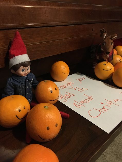 Elf Oranges, Elf With Oranges, Elf On The Shelf Oranges, Elf Christmas Eve, Elf Idea, Elf Shenanigans, Elf Ideas Easy, Almost Christmas, Awesome Elf On The Shelf Ideas