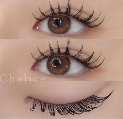 Douyin Lashes, Long Natural Eyelashes, Cat Eye Lash Extensions, Doll Eyelashes, Anime Lashes, Eyelash Extensions Salons, Lash Map, Eye Lash Extensions, Lash Mapping