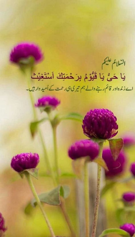 Allah is only, who give all things and blessed our life Subha Bakhair Dua In Urdu, Urdu Dua, Suba Bakhair, Subha Bakhair, Morning Dua, Subah Bakhair, Dua In Urdu, Good Day Messages, Good Morning My Friend