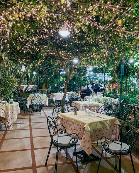 Italian Patio, Sorrento Italia, Lemon Garden, Amalfi Coast Towns, Amalfi Coast Positano, European Summer Aesthetic, Sorrento Italy, Travel Inspiration Destinations, Italy Holidays